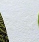 p0