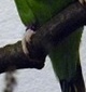 p0