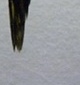 p0