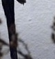p0