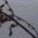 p0