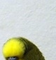 p0