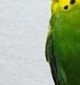 p0