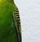 p0
